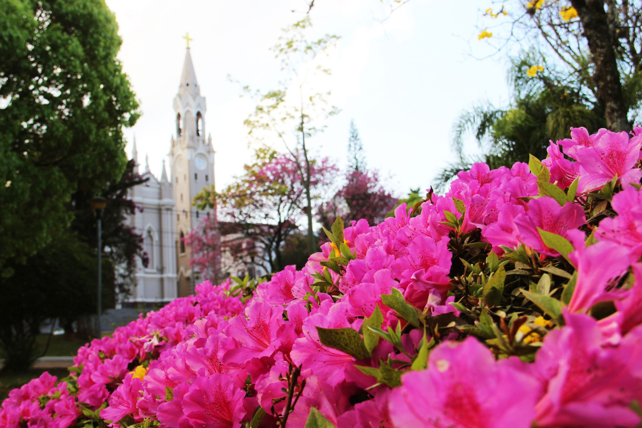 Foto de Praça da Matriz 